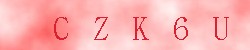 Kontrolní kód